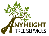 Any Height